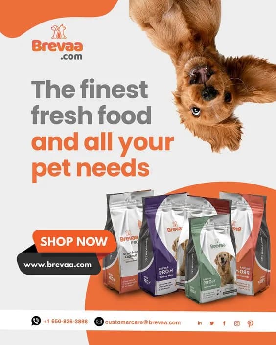 Brevaa & Pet Food Ad Creatives